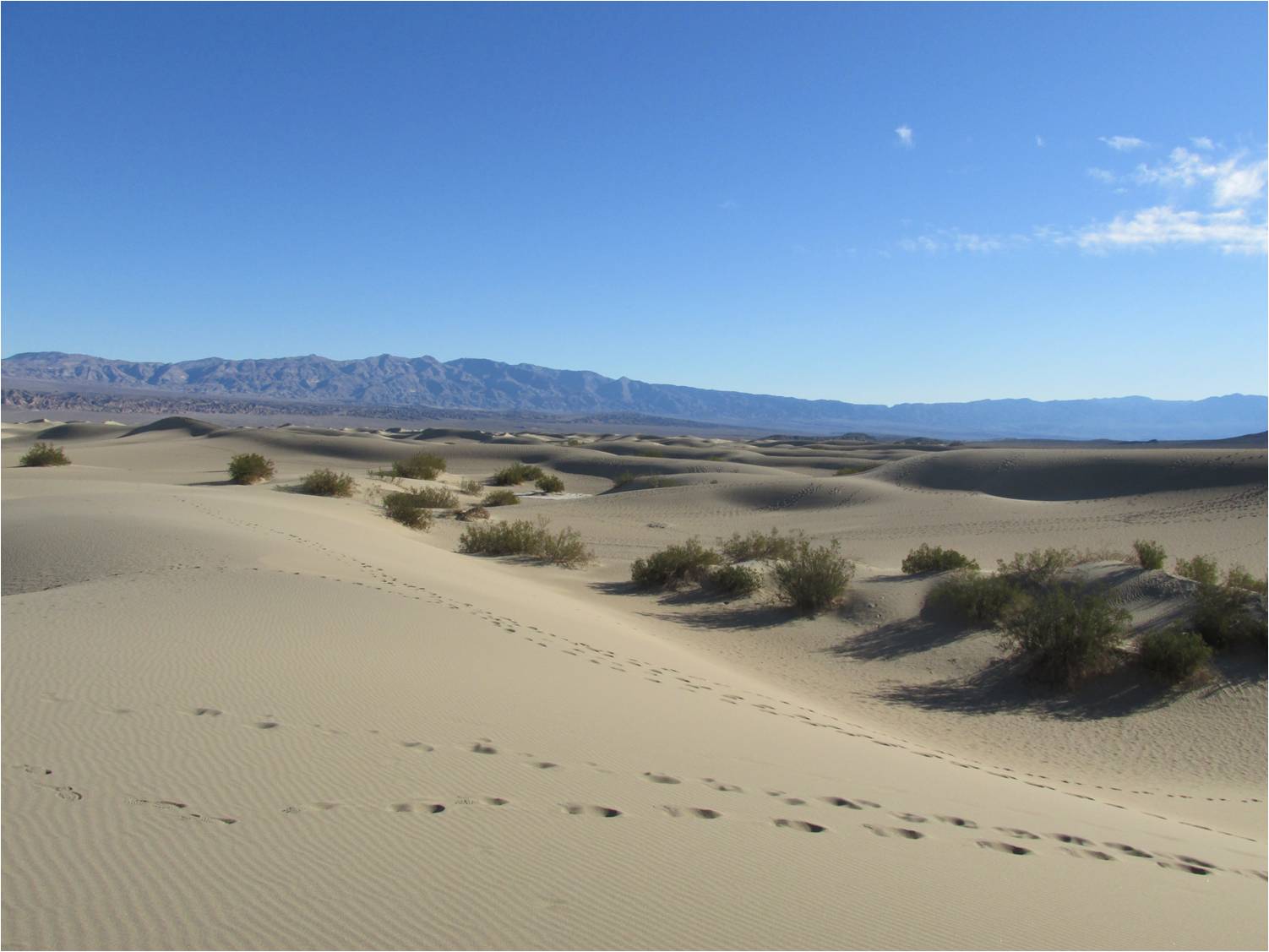 Sand dunes 2.jpg