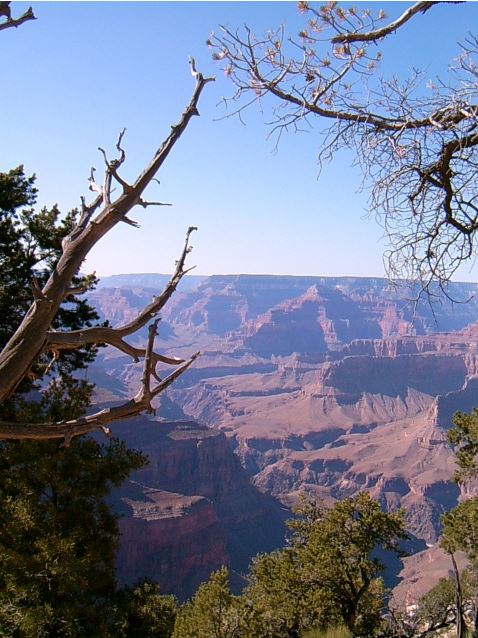 Grand Canyon2.JPG