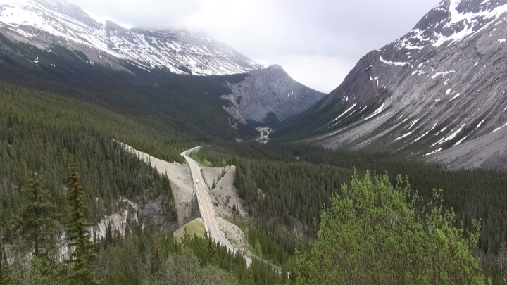`14.06.15 (Banff ~ Jasper)(3).jpg