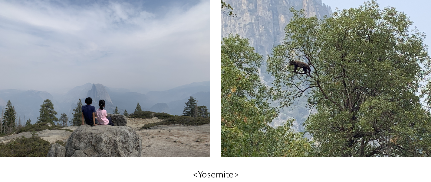Yosemite - 복사본.png