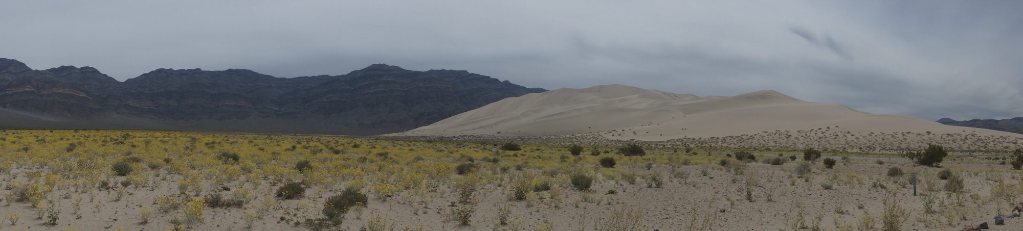 ssDSC00586.JPG : Eureka Dunes, Death Valley, CA