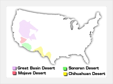 map_desert.jpg